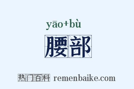 腰部是什么意思的图片